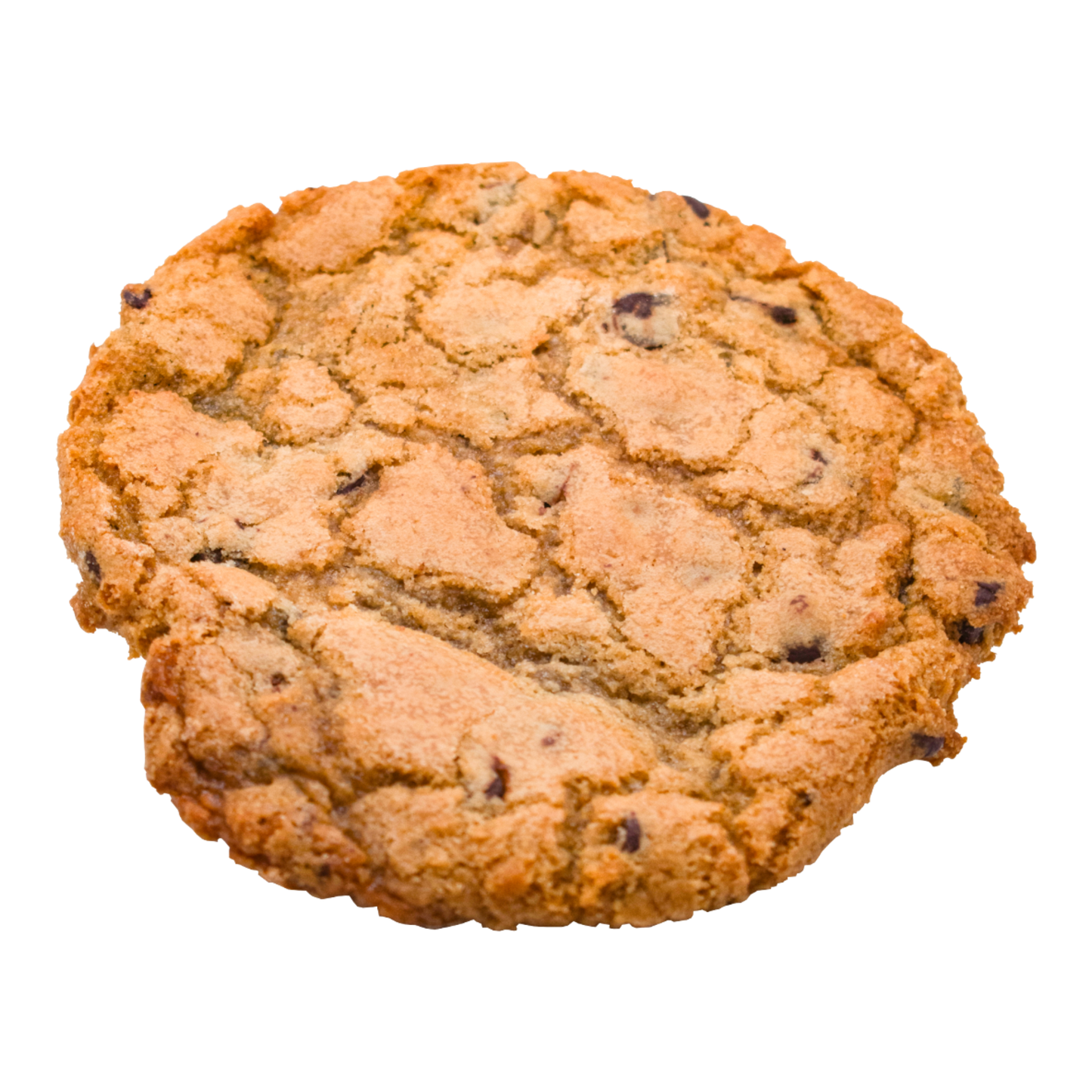 Chocolate Chip Cookie
