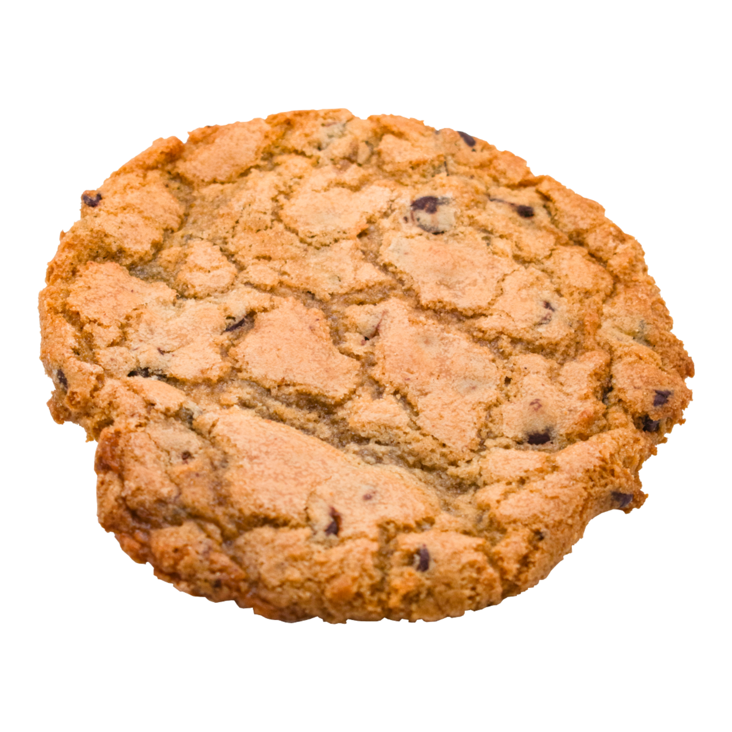 Chocolate Chip Cookie: La Belle French Bakery